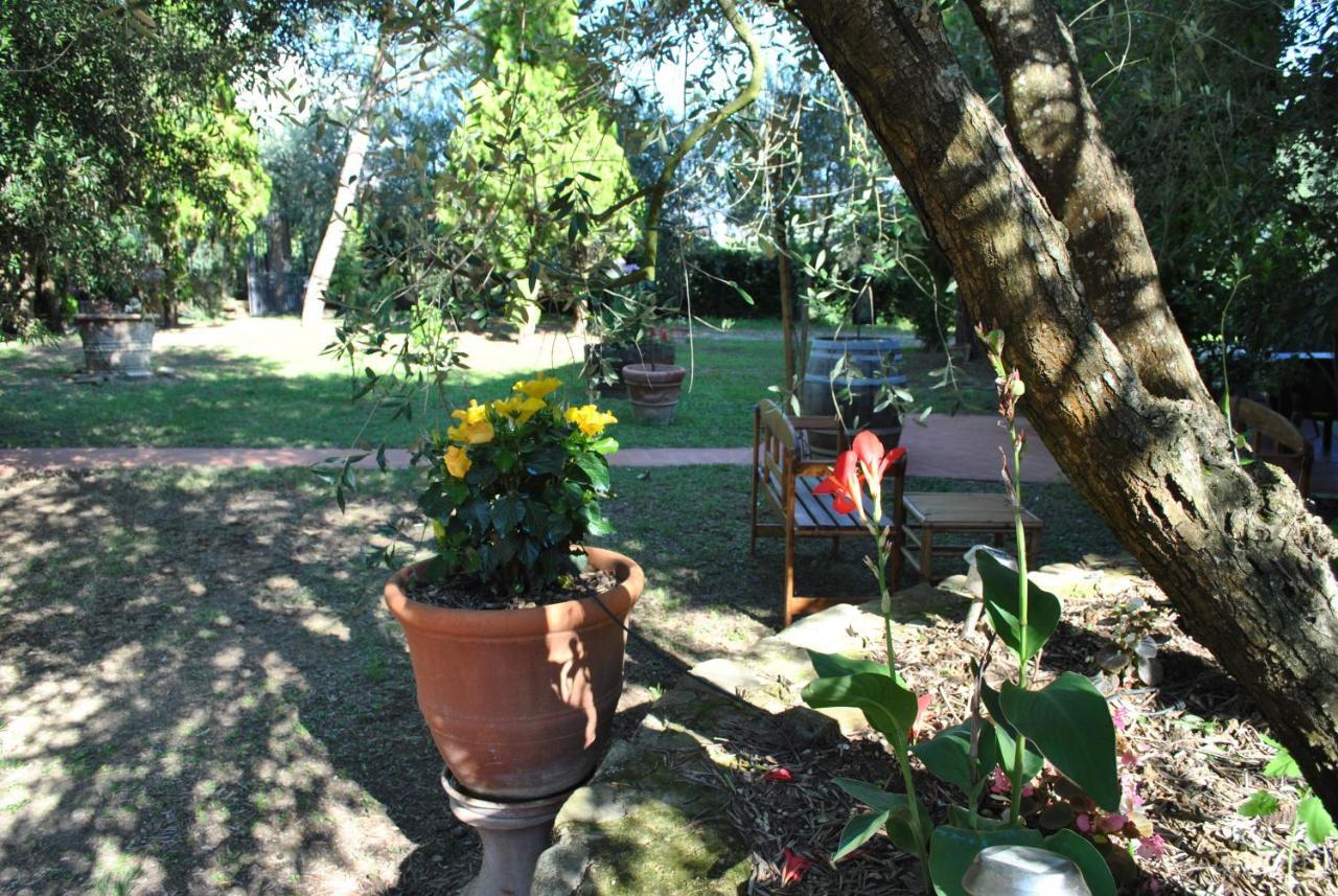Agriturismo La Nicchia Castelnuovo Berardenga Exterior foto