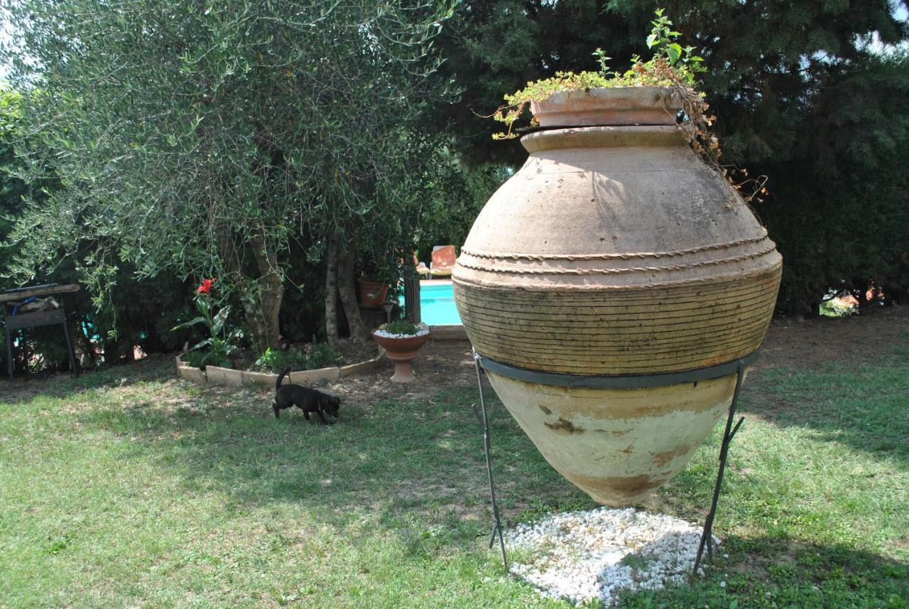 Agriturismo La Nicchia Castelnuovo Berardenga Exterior foto